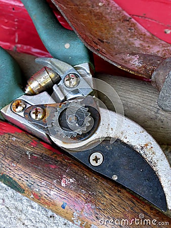 Pruning shears Stock Photo