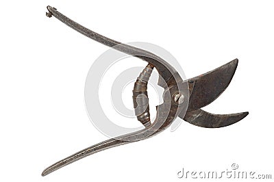 Pruning Shears Stock Photo