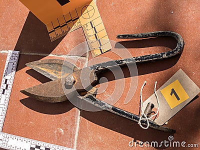 Pruning shears on the crime scene, numbering in evidence Stock Photo