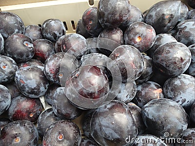 Prunus 'Flavor Heart Pluot' Stock Photo