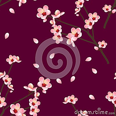 Prunus persica - Peach Flower Blossom on Red Violet Background. Vector Illustration