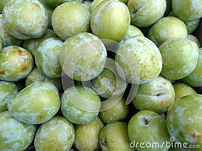 Prunus salicina 'Emerald Beaut' Japanese Plum Stock Photo