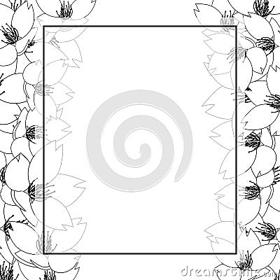 Prunus serrulata - Cherry blossom, Sakura Outline Banner Card. Vector Illustration Vector Illustration