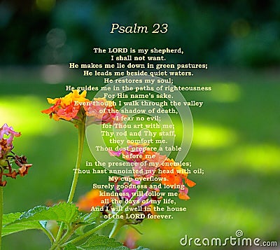 Psalm 23 Verse With Pretty Lantana flowers In Background Stock Photo