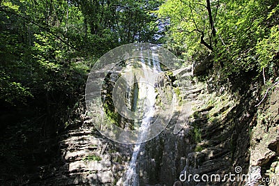 Pshad Waterfalls. A lot of vegetation in the image Stock Photo