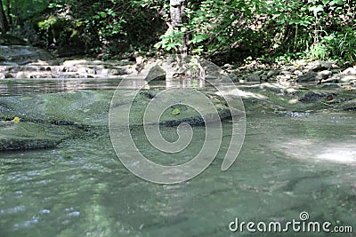 Pshad Waterfalls. A lot of vegetation in the image Stock Photo