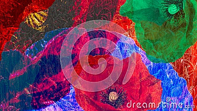 Artistic digital collage of colorful blooms close-up Stock Photo