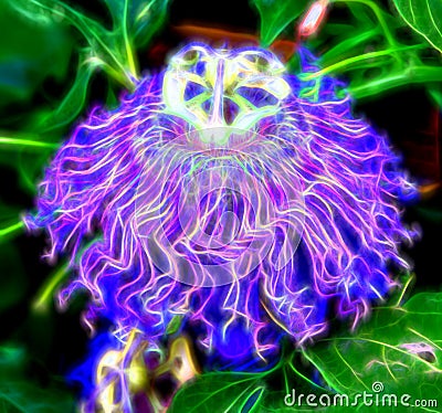 Psychedelic, Illuminated Purple Passion Flower Stock Photo