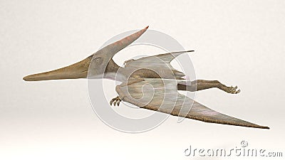 Pteranodon-Dinosaur Cartoon Illustration