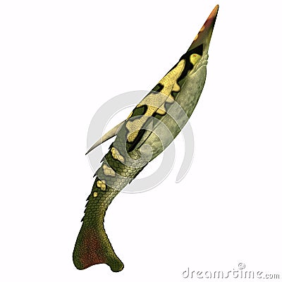 Pteraspis Fish Tail Stock Photo