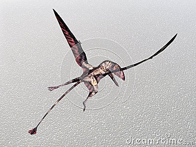 Pterosaur Dimorphodon Cartoon Illustration