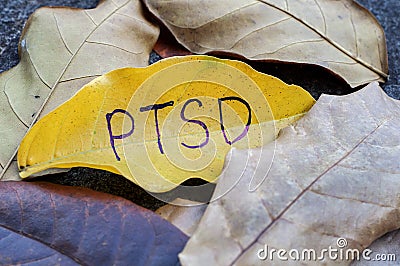 PTSD written on leaf Stock Photo