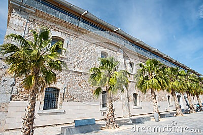 Public building with palms at high noon Stock Photo