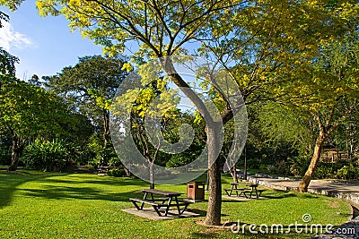 Public city park summer day. Picnic place. Weekend time concept. Stock Photo