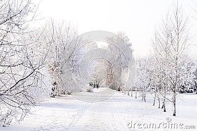 Public Park after heavy snowfall in winter Stock Photo