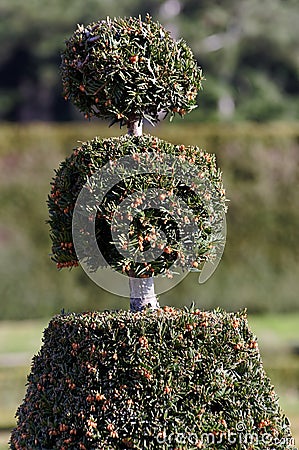 Trees in French gardens of the public park of Sceaux Stock Photo