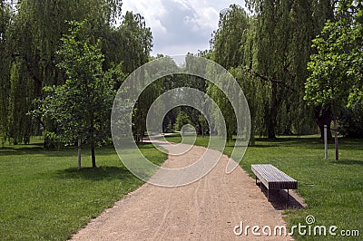 Public park in summer time, greenery, path throw and bench, sunny, blue sky Stock Photo