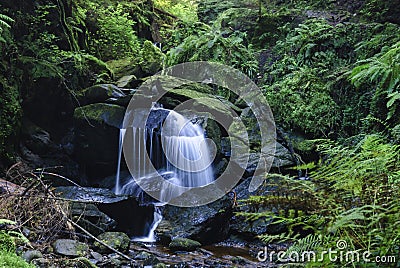 Pucks Glen Waterfall Stock Photo