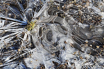 Rays of ice create a sunburst quality in a frozen puddle. Stock Photo