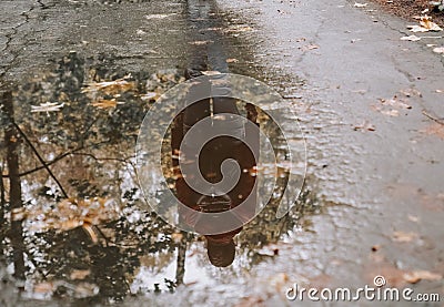 puddle with reflection of girl walking with backpack Stock Photo
