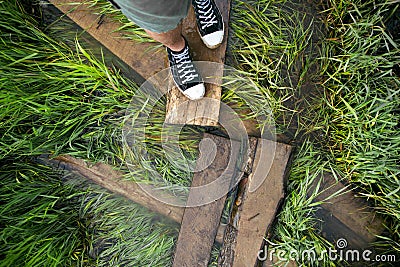 The puddle underfoot Stock Photo