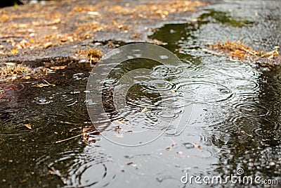 Puddle water on wet street Stock Photo