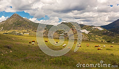 Pueblos Blancos near Casares, Andalusia, Spain Stock Photo