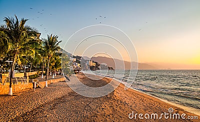 Puerto Vallarta sunset and palms - Puerto Vallarta, Jalisco, Mexico Stock Photo