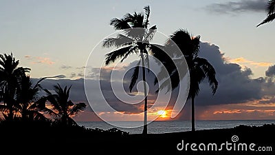 Puesta del sol tropical sobre el océano con las palmeras Puesta del sol tropical sobre el océano con las palmeras