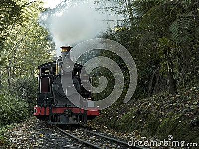 Puffing Billy train ride through the Dandenong Ranges near Melbourne, Australia Stock Photo