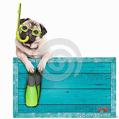 Pug dog with blue vintage wooden beach sign, with goggles, snorkel and flippers for summer, isolated on white background Stock Photo