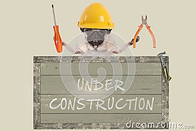 Pug dog holding pliers and screwdriver behind old wooden sign with text under construction, on white background Stock Photo