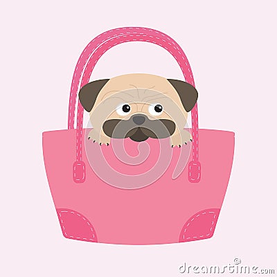 Pug dog mops in the bag. Cute cartoon character. Flat design. . Wite background. Vector Illustration