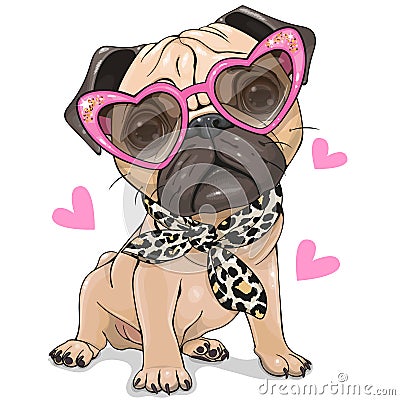 Pug Dog with pink glasses and scarf isolated Vector Illustration