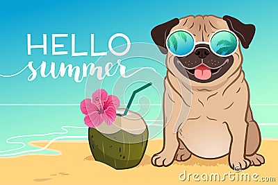 Pug dog wearing reflective sunglasses on a sandy beach, ocean in Stock Photo