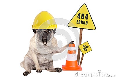 Pug dog with yellow constructor safety helmet and cone and 404 error and dead end sign on wooden pole Stock Photo