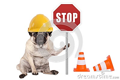 Pug dog with yellow constructor safety helmet and red stop sign on pole Stock Photo