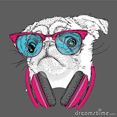 Pug in glasses and headphones. Vector illustration. Vector Illustration