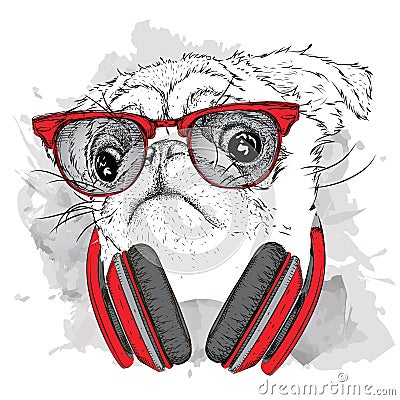 Pug in glasses and headphones. Vector illustration. Vector Illustration