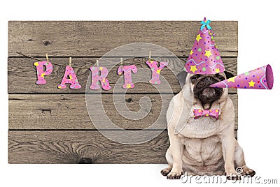 Pug puppy dog with pink party hat and horn and wooden sign with text party Stock Photo