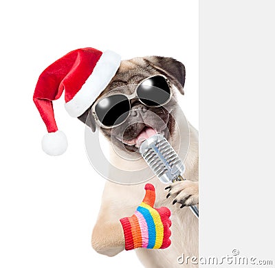 Pug puppy with retro microphone in red christmas hat peeking from behind empty board and showing thumbs up. isolated on white Stock Photo