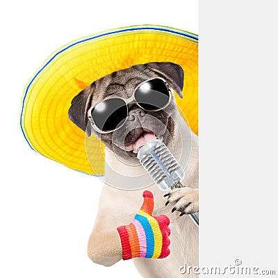 Pug puppy with retro microphone in sunglasses peeking from behind empty board and showing thumbs up. isolated on white background Stock Photo