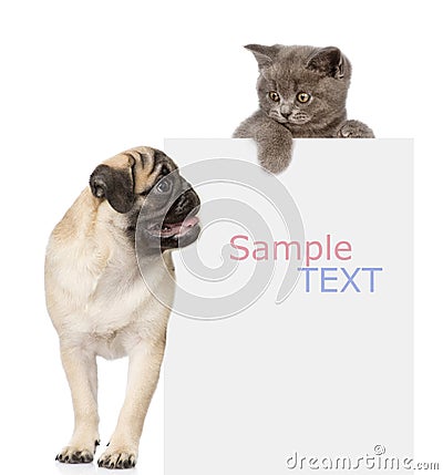 Pug puppy and small kitten above white banner. looking down. isolated Stock Photo