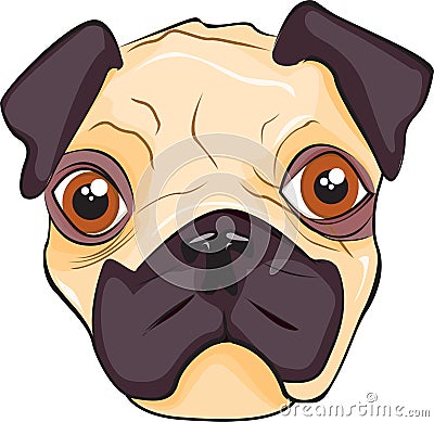 Pug's head Vector Illustration
