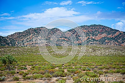 Pugilist Hill Lookout of Flinders Ranges Stock Photo