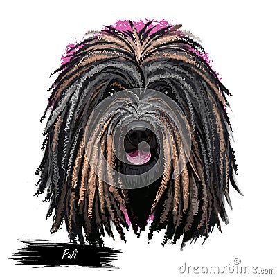 Puli dog portrait isolated on white. Digital art illustration of hand drawn dog web, t-shirt print and puppy food cover design. Cartoon Illustration