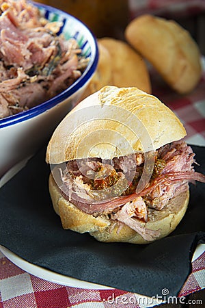 Pulled pork with vinegar barbecue sauce Stock Photo