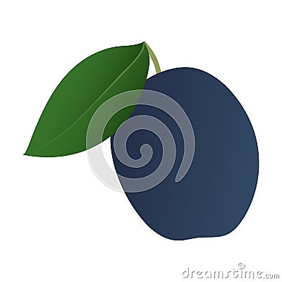 A ripe pulm with laef. Vector Illustration