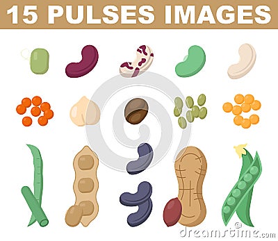 Pulses or legumes colored images. Natural organic beans. Vegetarian Vector Illustration