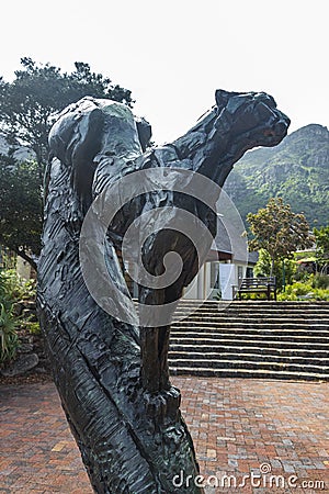 Puma sculpture in Kirstenbosch Botanical Garden, Cape Town Editorial Stock Photo